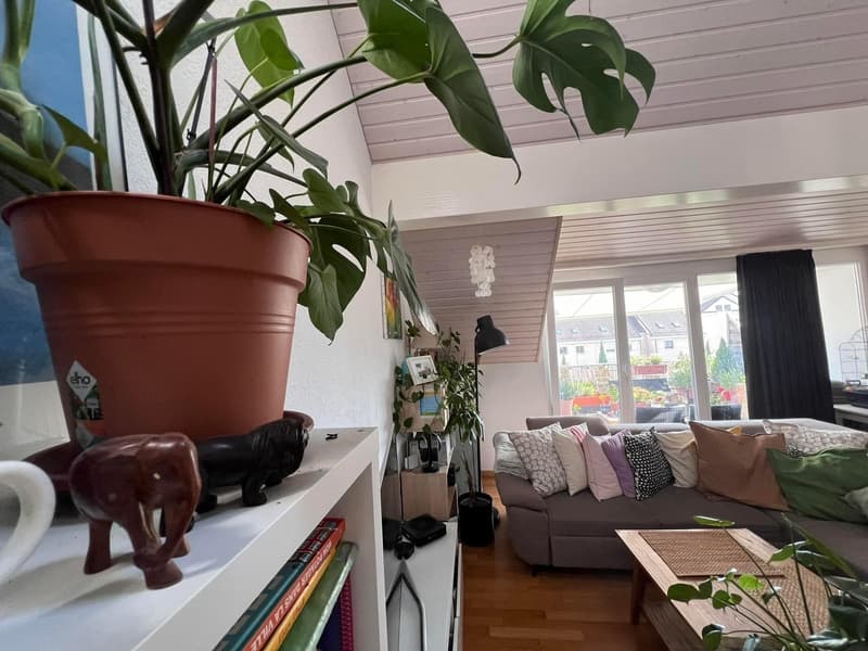 Room in Prangins (8)