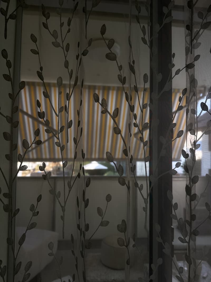 Looking for a pleasant clean roommate (2)