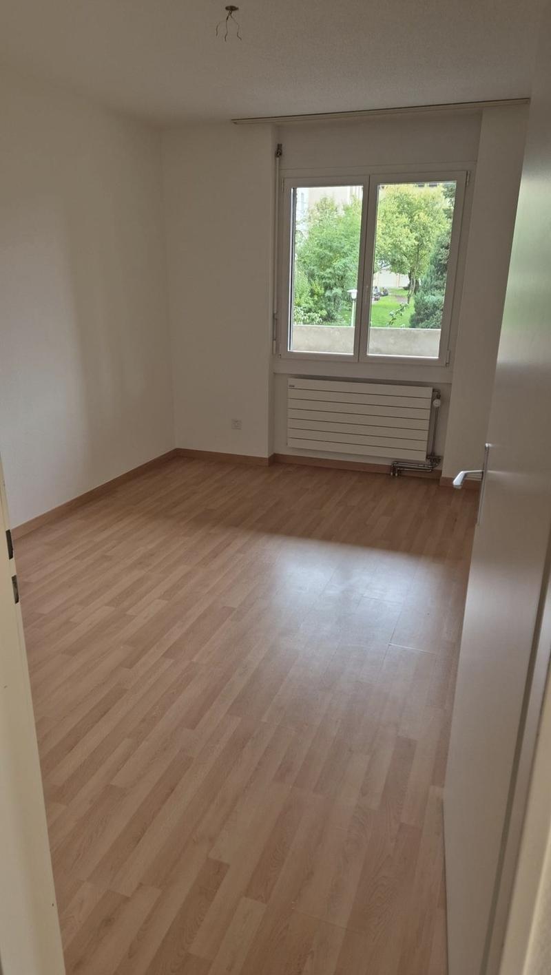 3 Zimmerwohnung in Dübendorf (1)