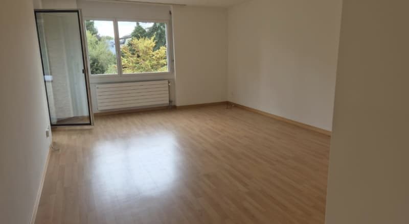 3 Zimmerwohnung in Dübendorf (6)