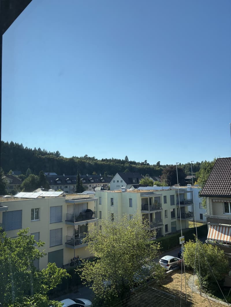 Appartement 2,5 pièces Liebefeld (9)