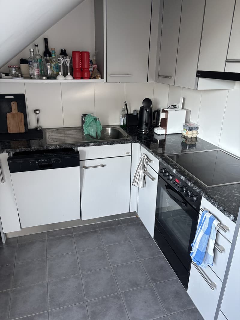 Appartement 2,5 pièces Liebefeld (7)