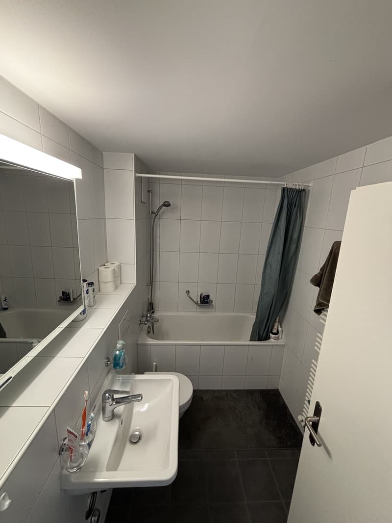 Appartement 2,5 pièces Liebefeld (5)