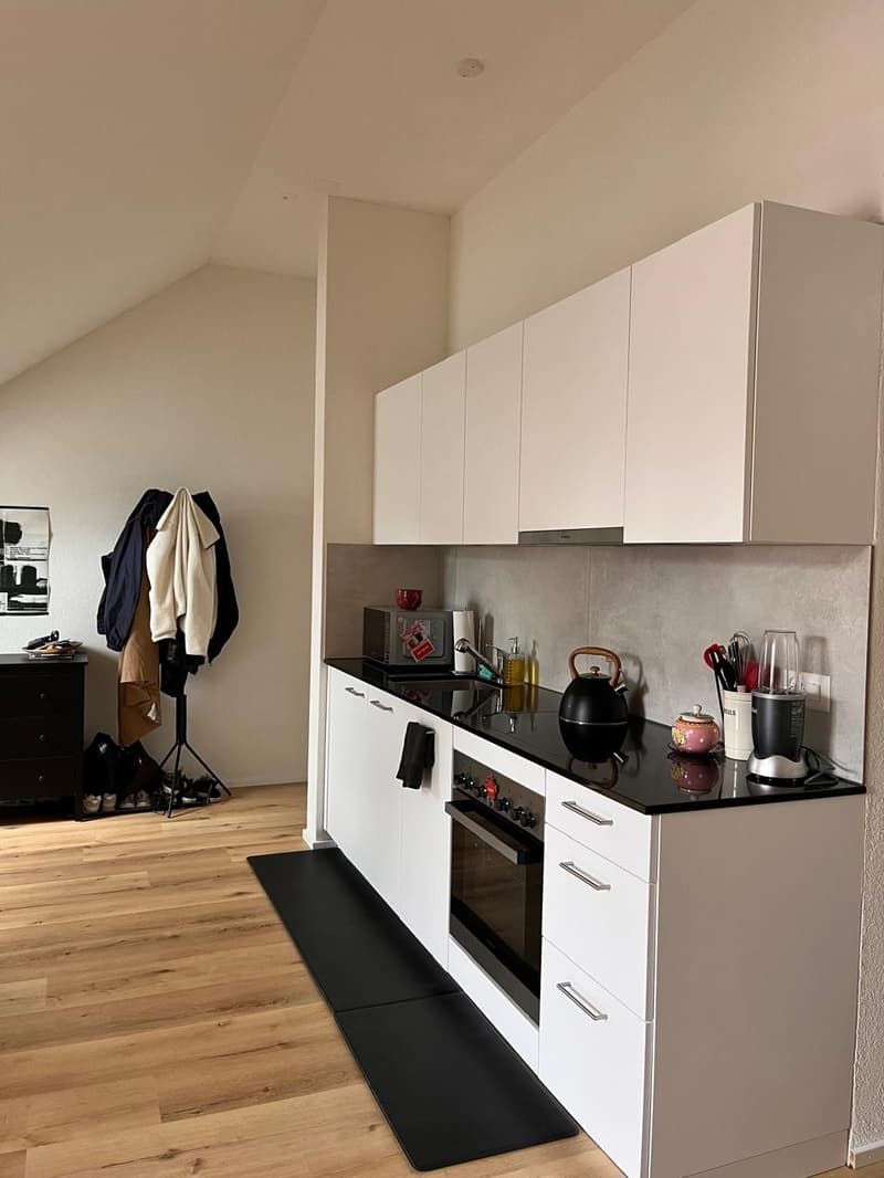 Charmante 1.5-Zimmer-Dachwohnung an ruhiger Lage in Bern (1)