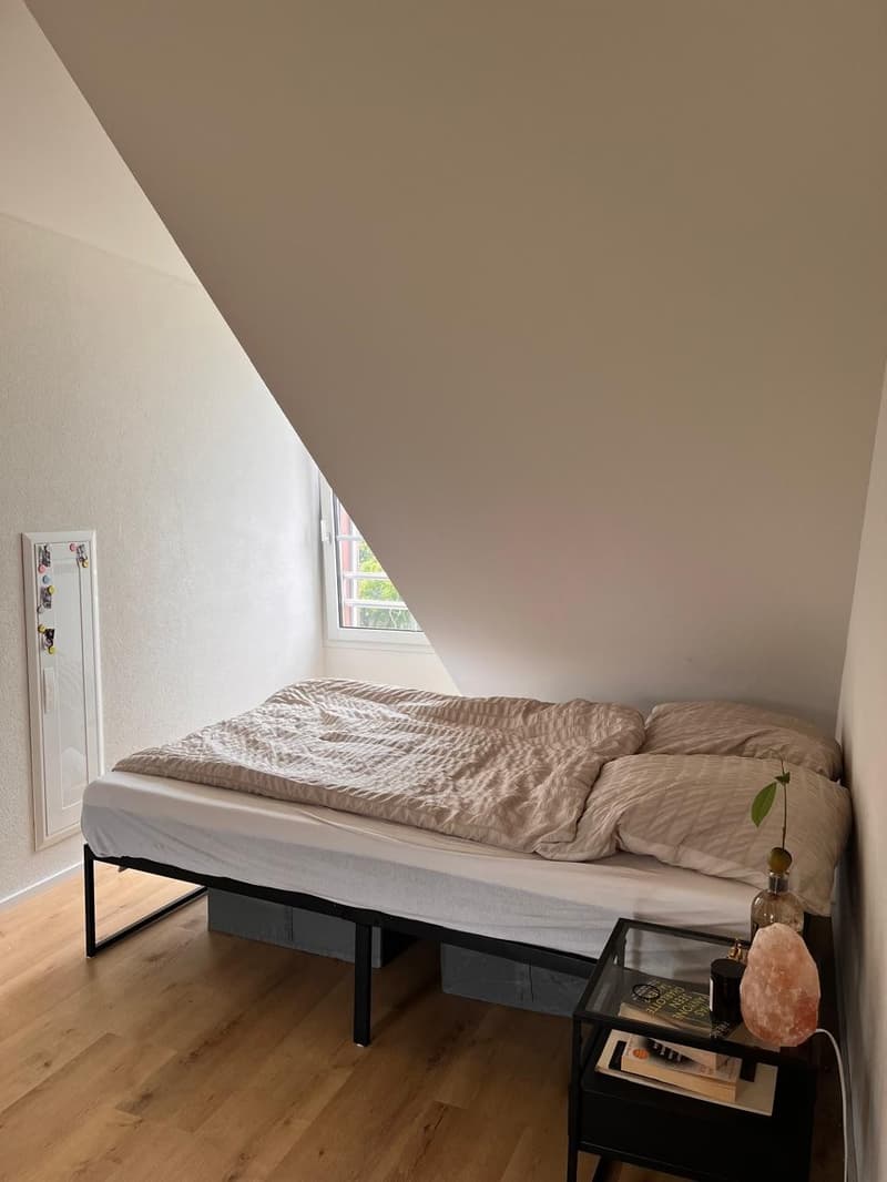 Charmante 1.5-Zimmer-Dachwohnung an ruhiger Lage in Bern (4)
