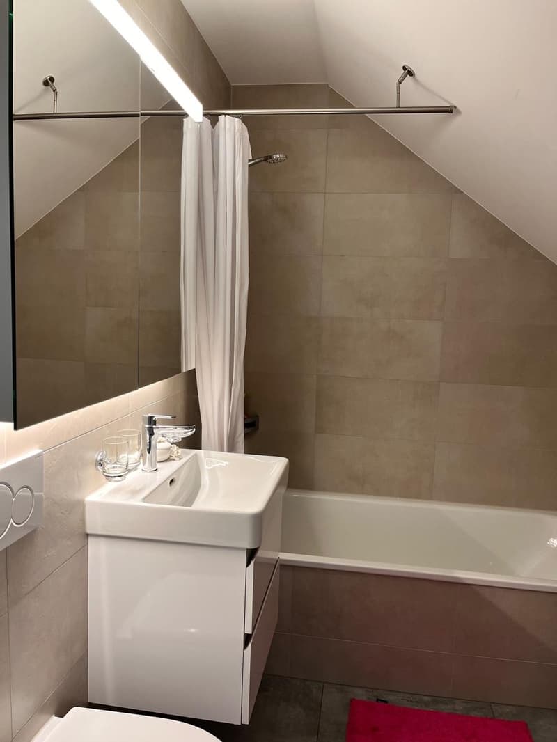 Charmante 1.5-Zimmer-Dachwohnung an ruhiger Lage in Bern (3)