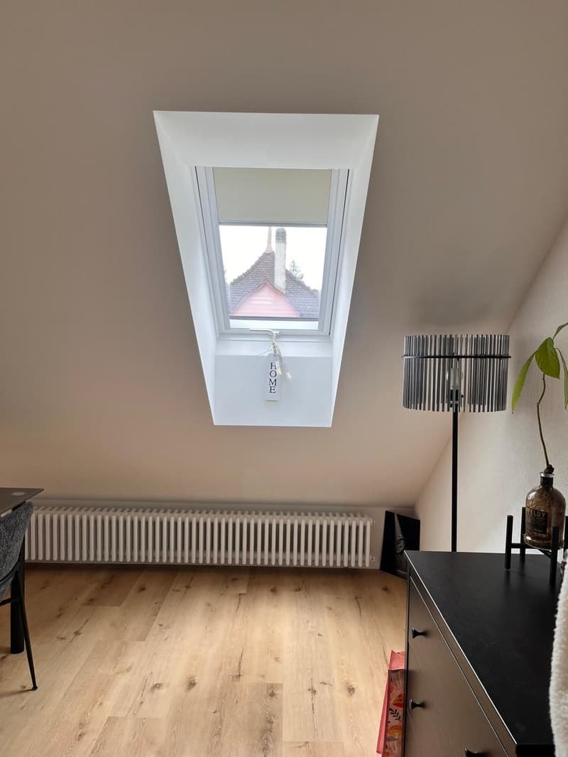 Charmante 1.5-Zimmer-Dachwohnung an ruhiger Lage in Bern (7)