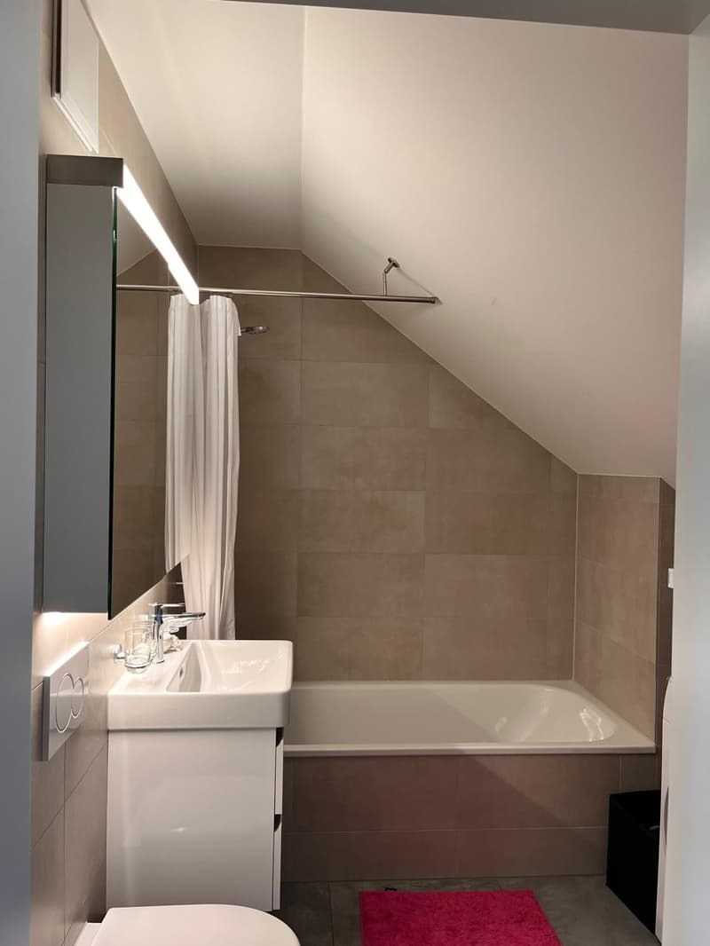 Charmante 1.5-Zimmer-Dachwohnung an ruhiger Lage in Bern (2)