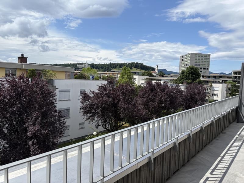 Charming 3.5-room attic apartment in a new building in Suhr AG (3)