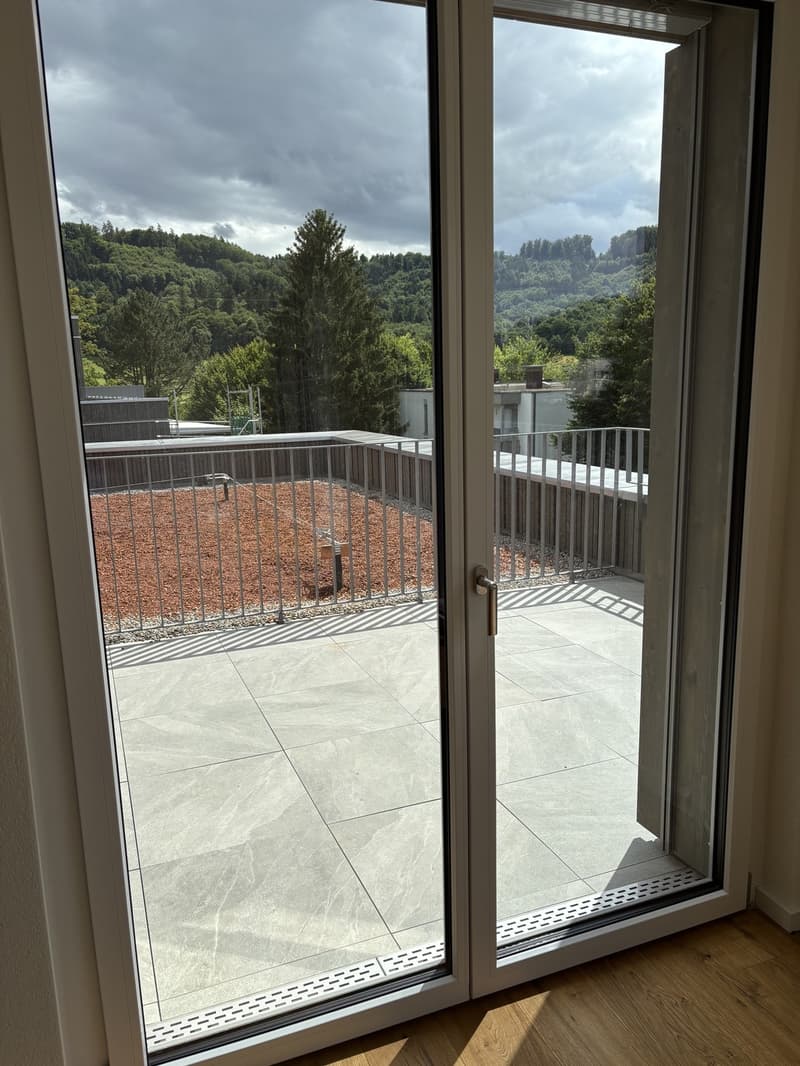 Charming 3.5-room attic apartment in a new building in Suhr AG (5)