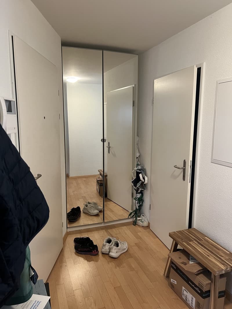 Bright & Quiet 3.5-Room Apartment Near Lake Zürich Wollishofen (4)