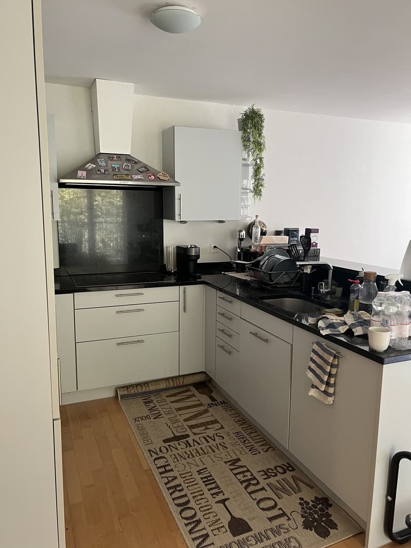 Bright & Quiet 3.5-Room Apartment Near Lake Zürich Wollishofen (7)