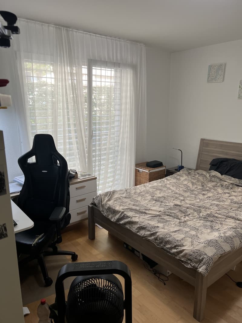 Bright & Quiet 3.5-Room Apartment Near Lake Zürich Wollishofen (8)