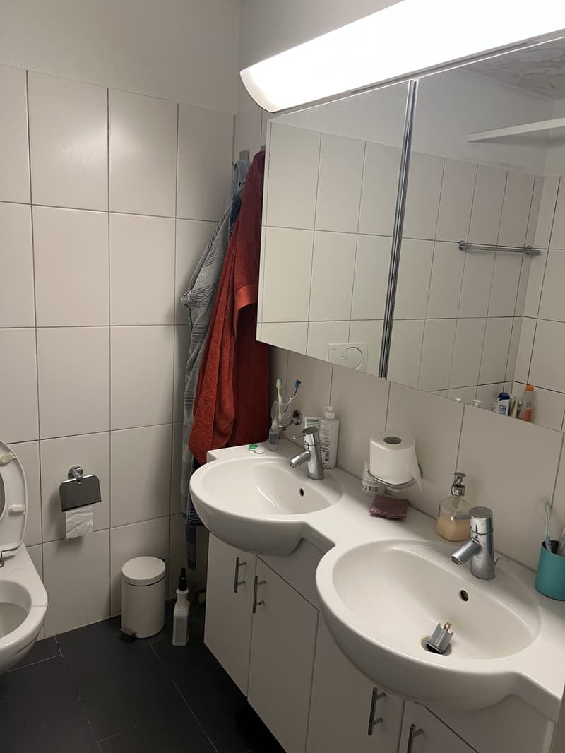 Bright & Quiet 3.5-Room Apartment Near Lake Zürich Wollishofen (5)