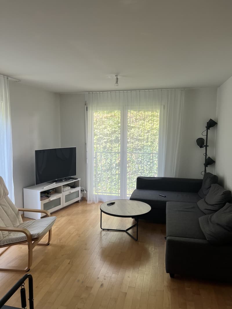 Bright & Quiet 3.5-Room Apartment Near Lake Zürich Wollishofen (1)