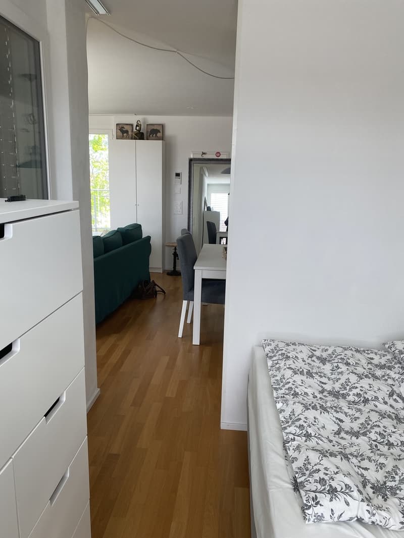 Recherche locataire (6)