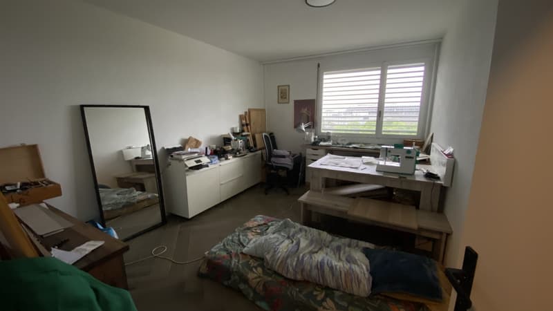 2 Zimmer in einer schönen Wohnung, nahe dem Zentrum, mit einem netten Hund :) (3)