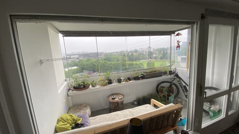 2 Zimmer in einer schönen Wohnung, nahe dem Zentrum, mit einem netten Hund :) (8)