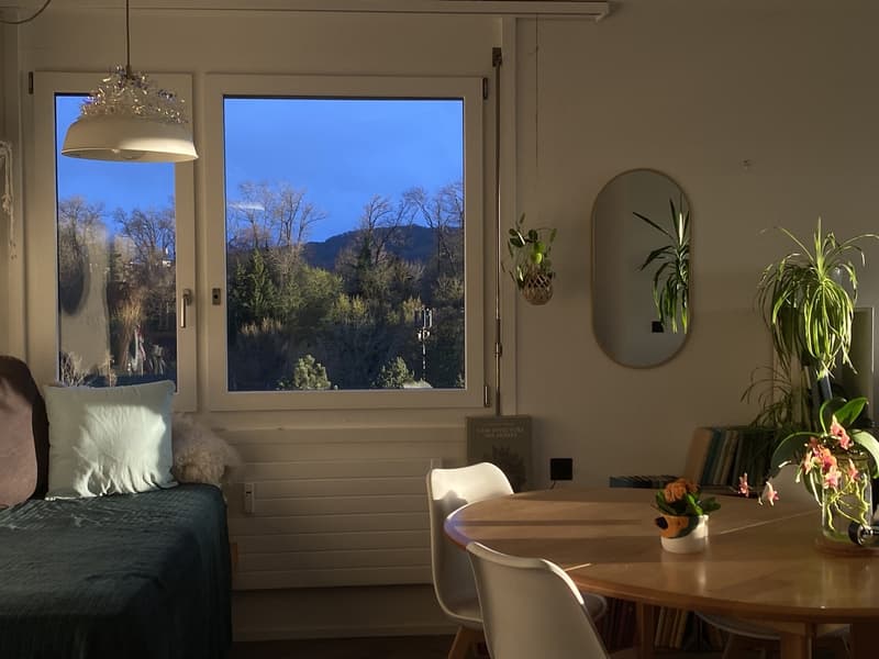 2 Zimmer in einer schönen Wohnung, nahe dem Zentrum, mit einem netten Hund :) (7)