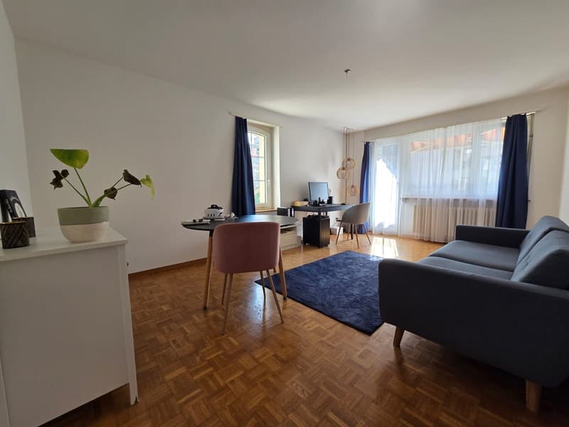 2.5 room apartment in Zürich-Altstetten (2)