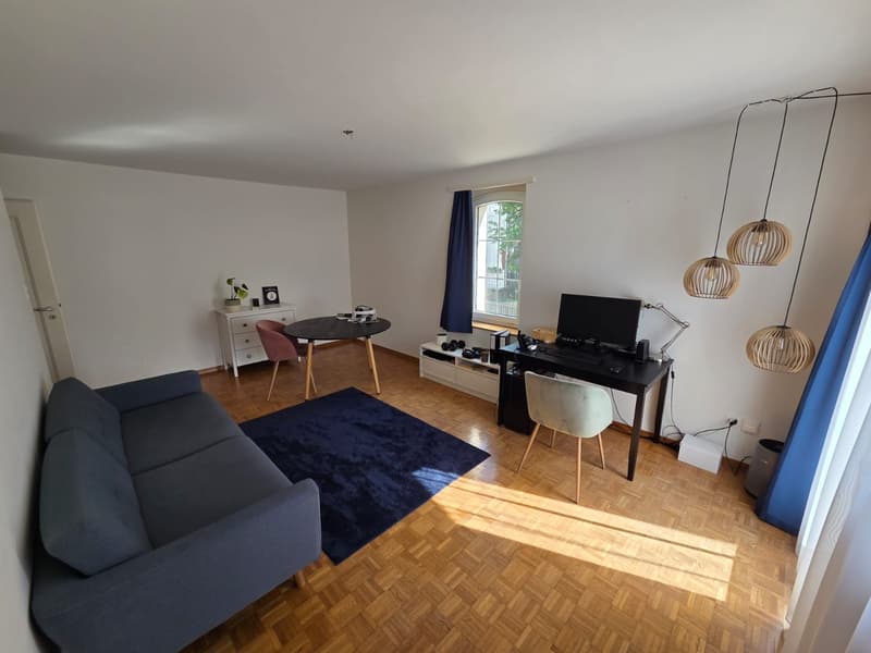2.5 room apartment in Zürich-Altstetten (9)