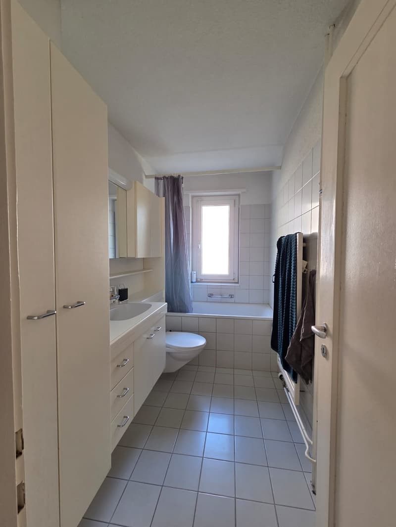 2.5 room apartment in Zürich-Altstetten (8)