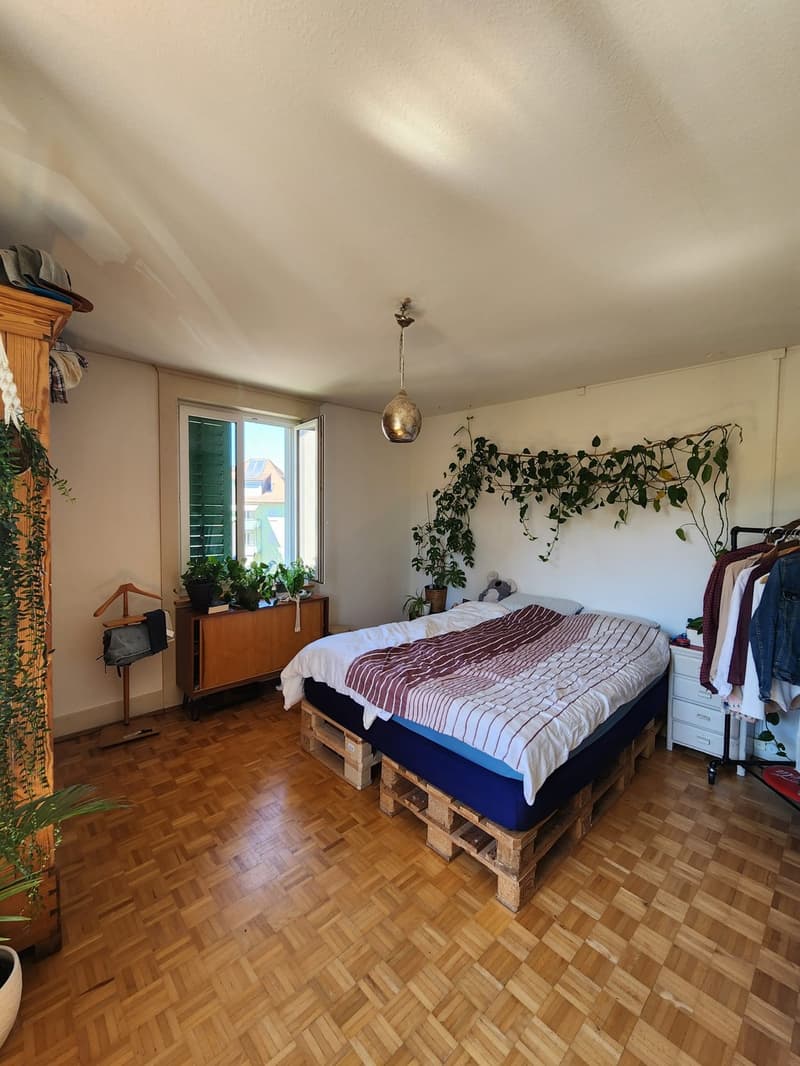 Wohnung zur Untermiete-befristet (3)