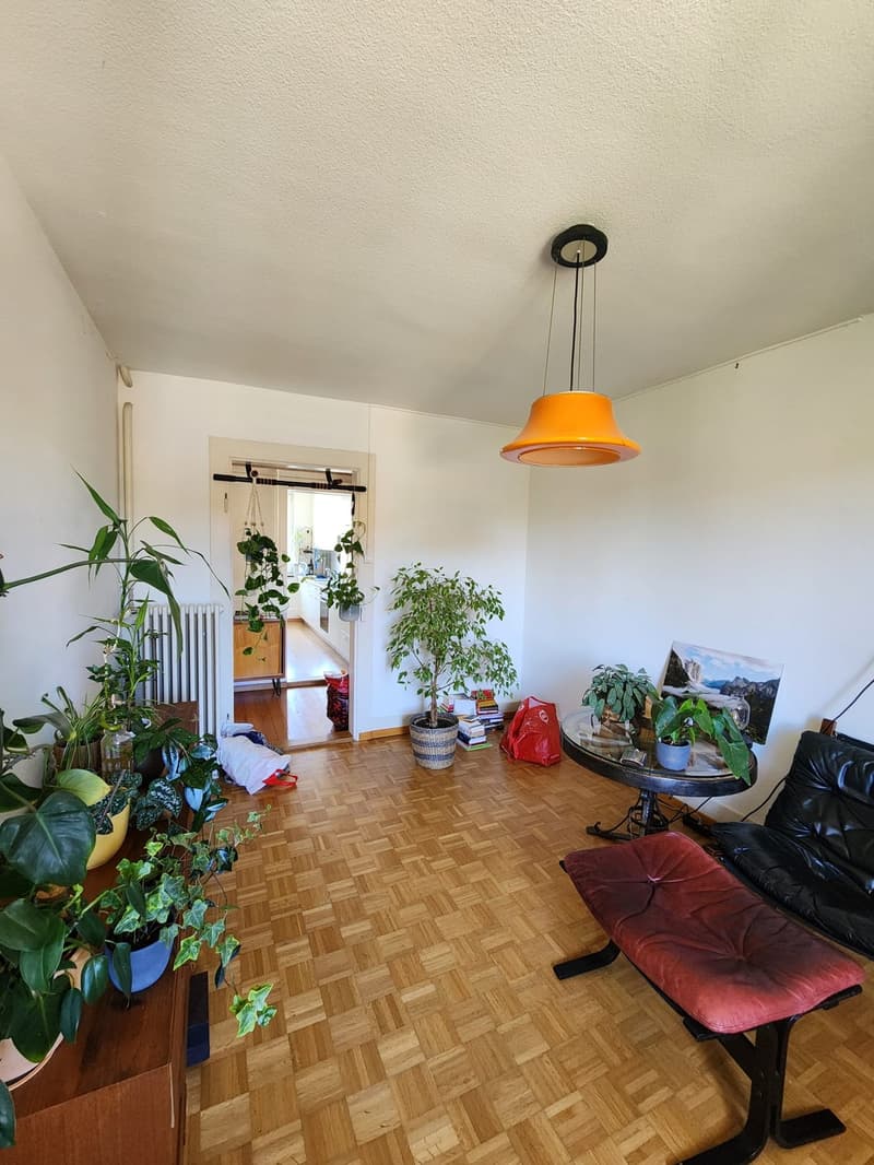 Wohnung zur Untermiete-befristet (8)