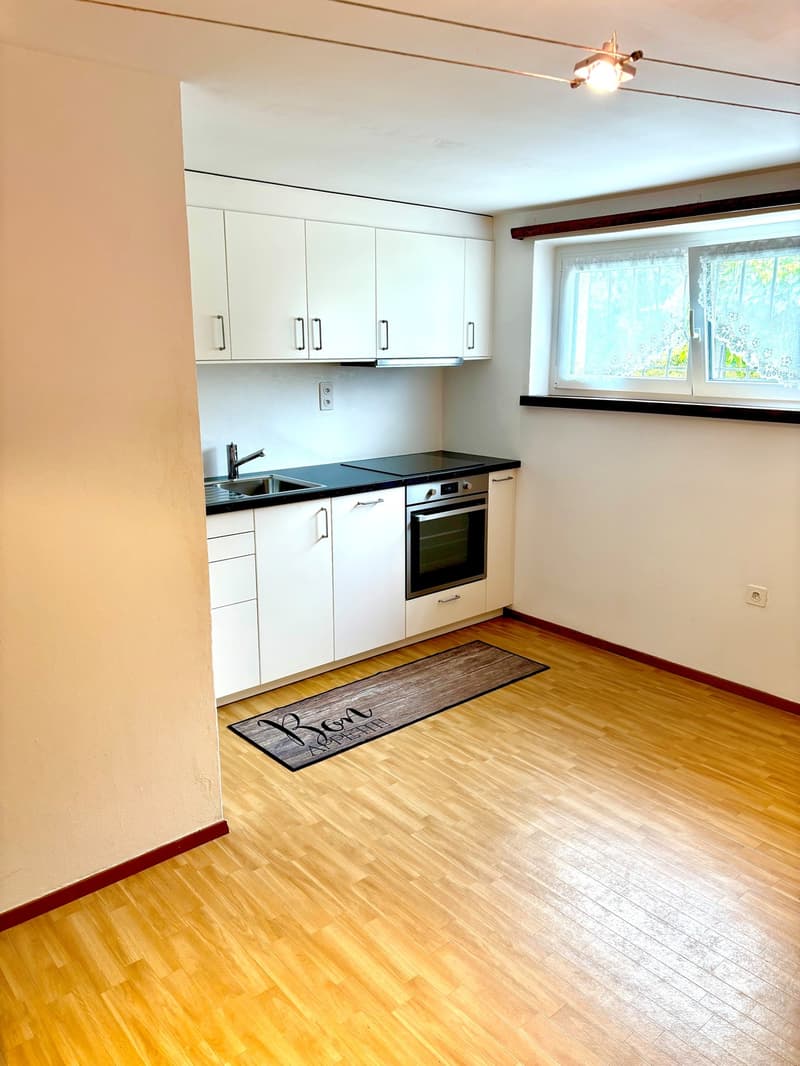 Affittiamo un grazioso e accogliente appartamento di 3½ locali a Gordevio, nel cuore della splendida Vallemaggia. L'appartamento è particolarmente adatto a persone che amano la tranquillità, la natura e il Ticino e che desiderano trovare qui, per un perio (6)