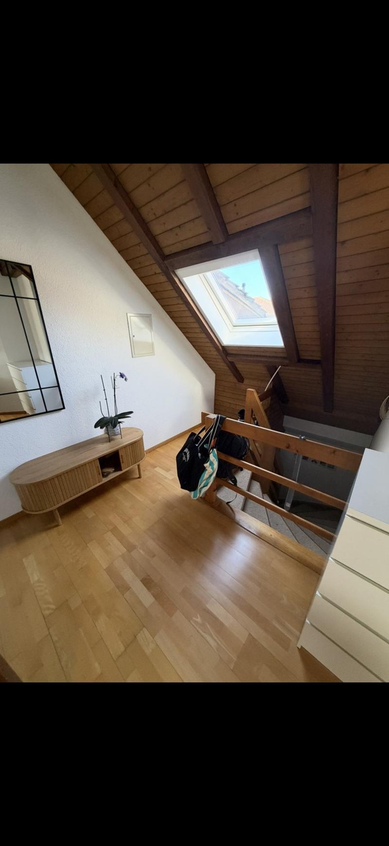 Nachmieter gesucht Helle 2.5-Zimmer-Dachwohnung in Amriswil (2)