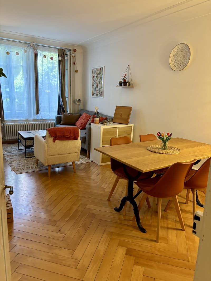 2,5 Zimmer in der Innenstadt (1)