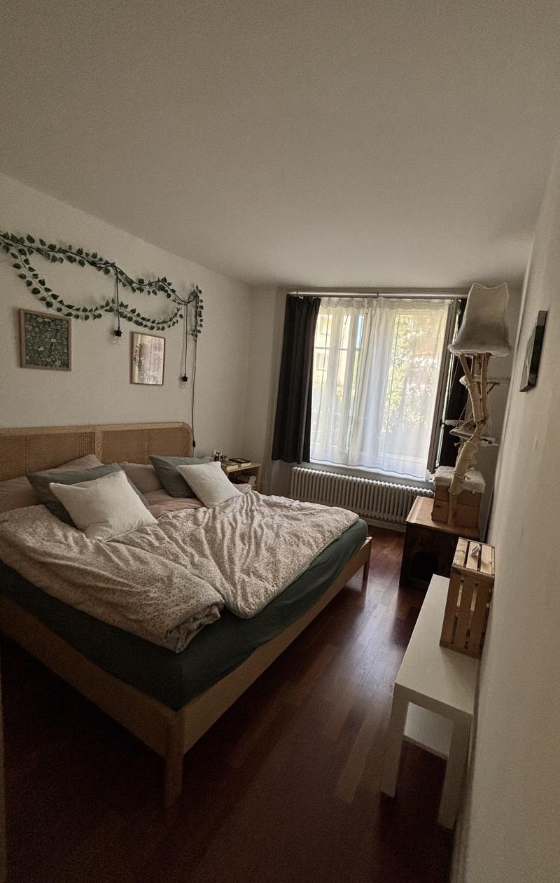 2,5 Zimmer in der Innenstadt (3)