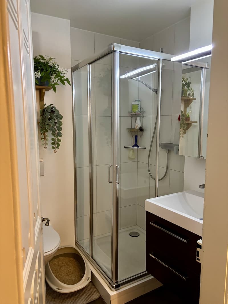 2,5 Zimmer in der Innenstadt (6)