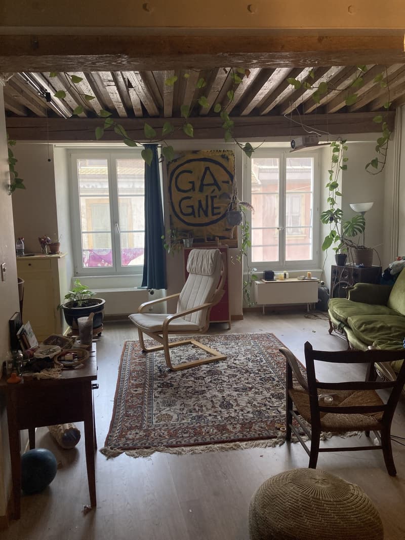 Schönes und geräumiges 3-Zimmer-Apartment im Stadtzentrum (1)