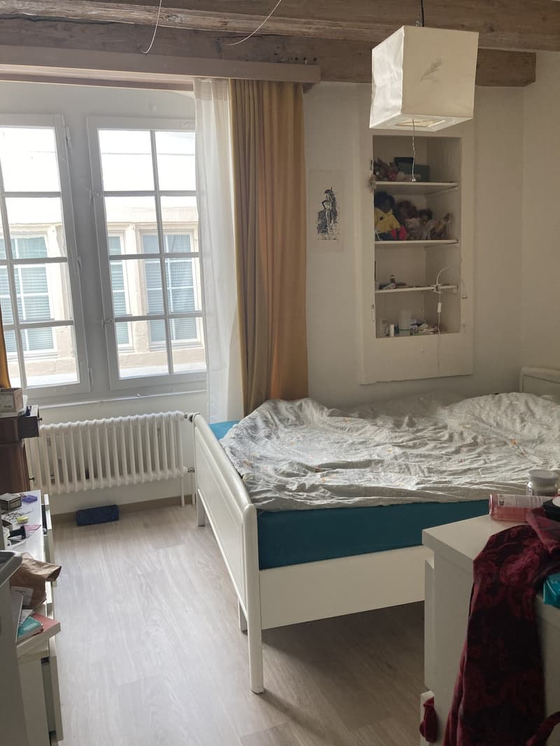 Schönes und geräumiges 3-Zimmer-Apartment im Stadtzentrum (3)