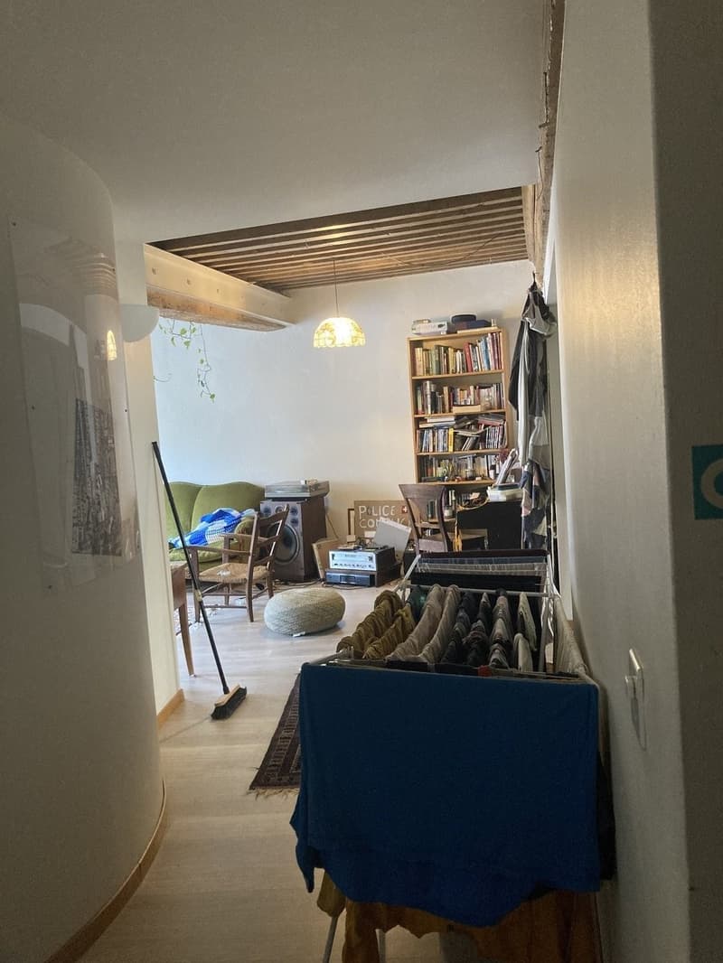 Schönes und geräumiges 3-Zimmer-Apartment im Stadtzentrum (5)