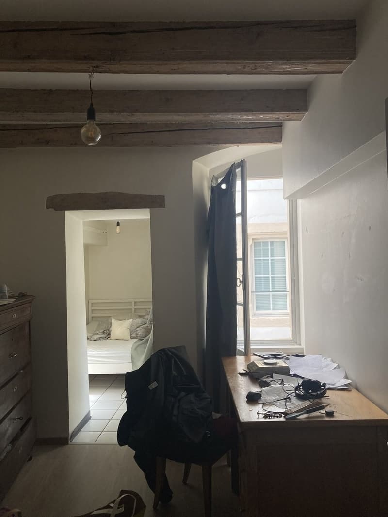 Schönes und geräumiges 3-Zimmer-Apartment im Stadtzentrum (4)