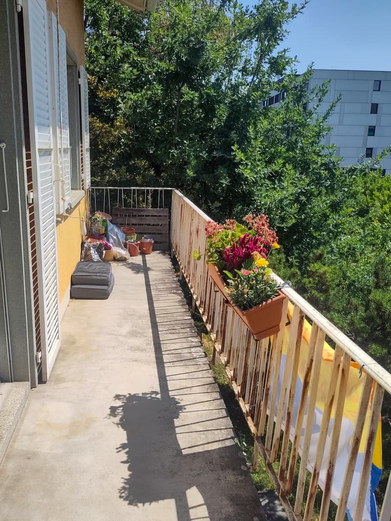 Zimmer zur Miete in einem schönen Haus mit Garten (3)