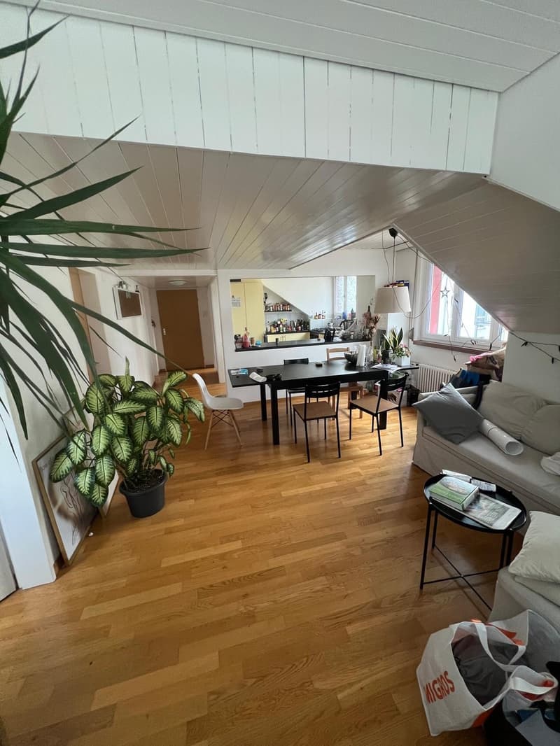3rd Apartment in St Gallen (2)