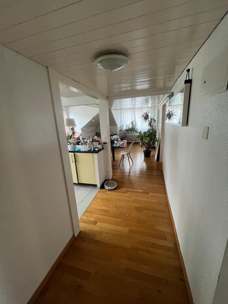 3rd Apartment in St Gallen (3)