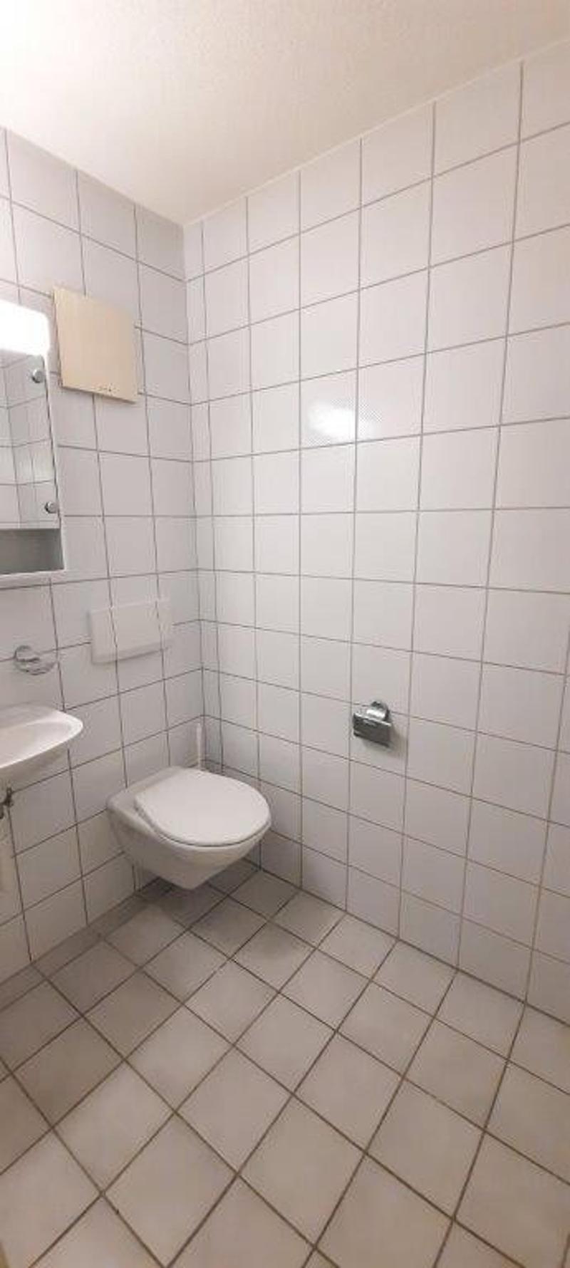 Bright 4.5-room apartment with balcony (8)