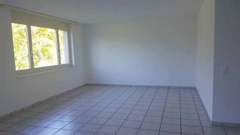 Bright 4.5-room apartment with balcony (5)