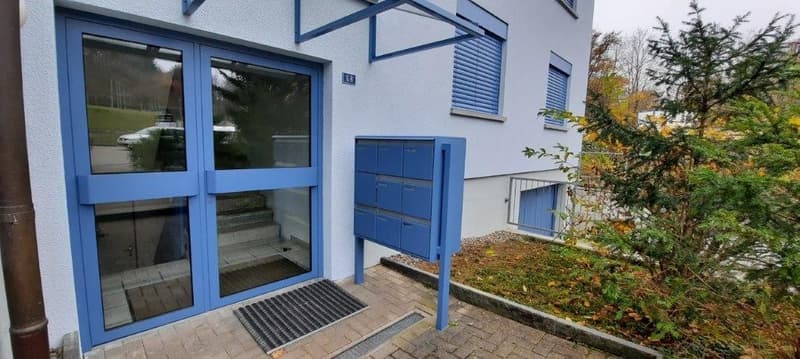 Bright 4.5-room apartment with balcony (2)