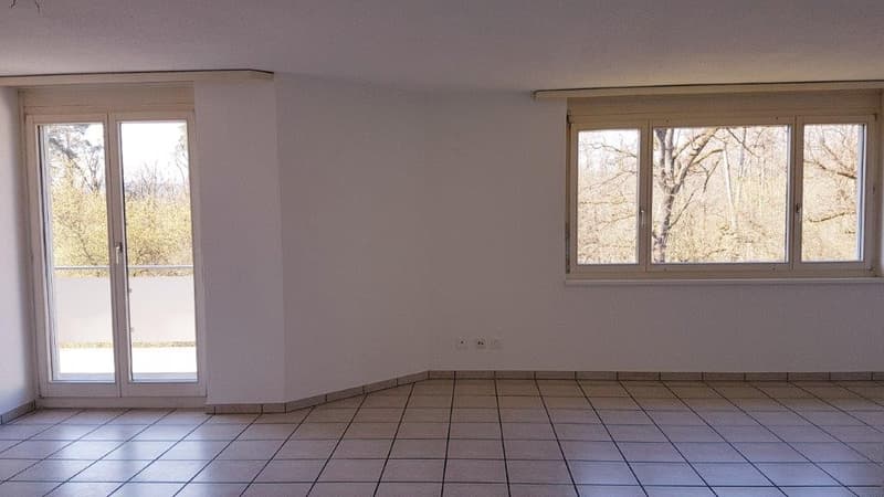 Bright 4.5-room apartment with balcony (1)