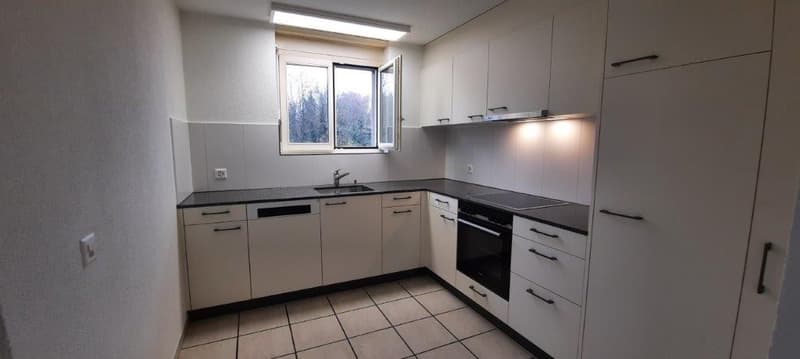 Bright 4.5-room apartment with balcony (10)
