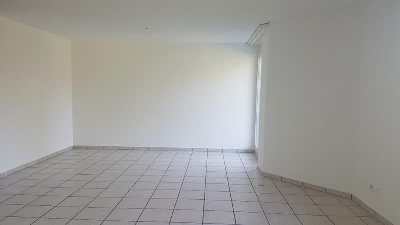 Bright 4.5-room apartment with balcony (4)