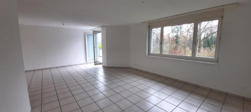 Bright 4.5-room apartment with balcony (7)