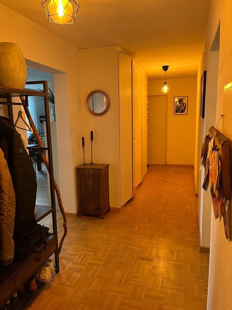 WG-Zimmer mit eigenem Bad zu vermieten nähe Rigiplatz/Uni Spital/ETH | Room to rent with own bathroom near Rigiplatz/Uni Hospital/ETH (3)