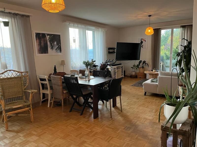WG-Zimmer mit eigenem Bad zu vermieten nähe Rigiplatz/Uni Spital/ETH | Room to rent with own bathroom near Rigiplatz/Uni Hospital/ETH (1)