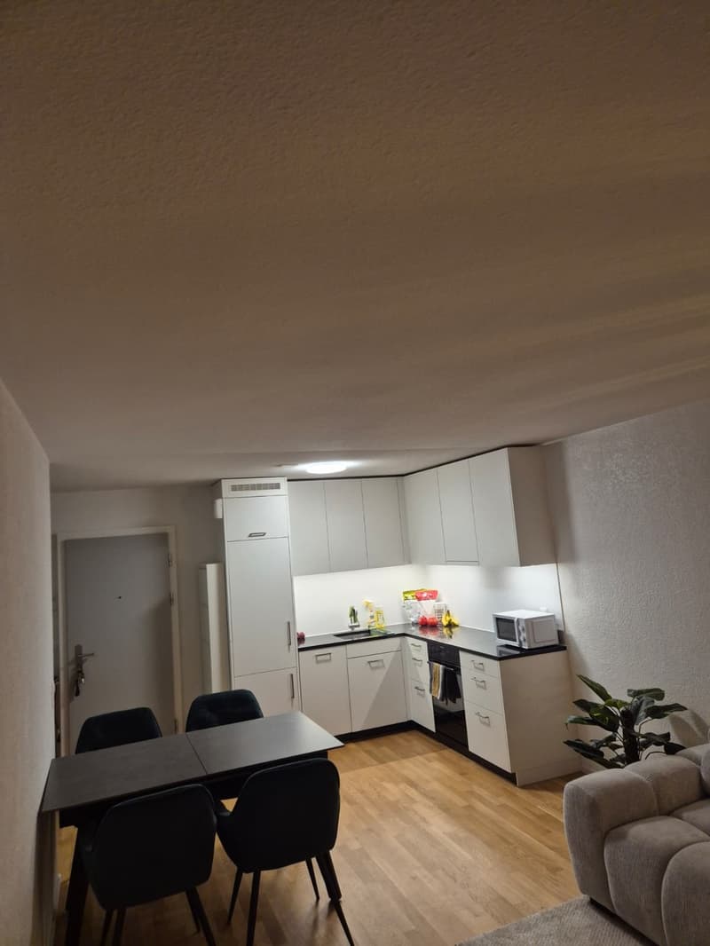 Länggasse/Bern - Ricercasi subaffittuario dal 1 settembre. Appartamento 2 locali moderno con ampio balcone (1)